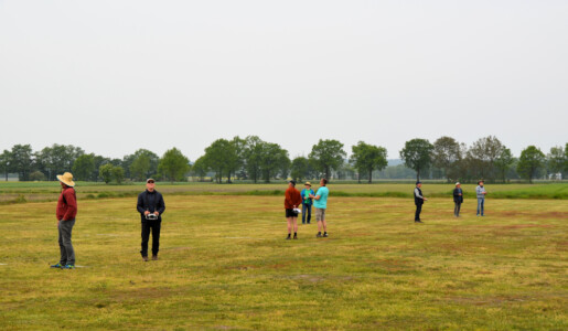 Konzentriertes Gewusel