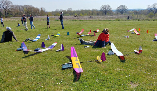 Entspannte Beobachter