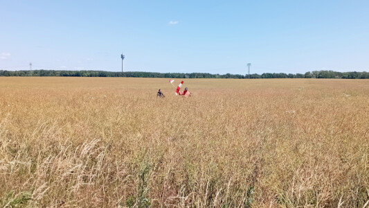 Erfolgreich, aber trotzdem ärgerlich